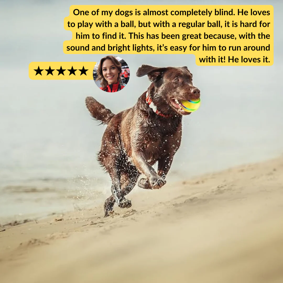 Active Ball With Remote Control