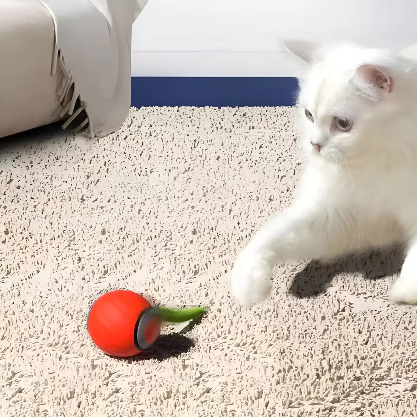 HuntBall - Rolling Cat Toy with Feather