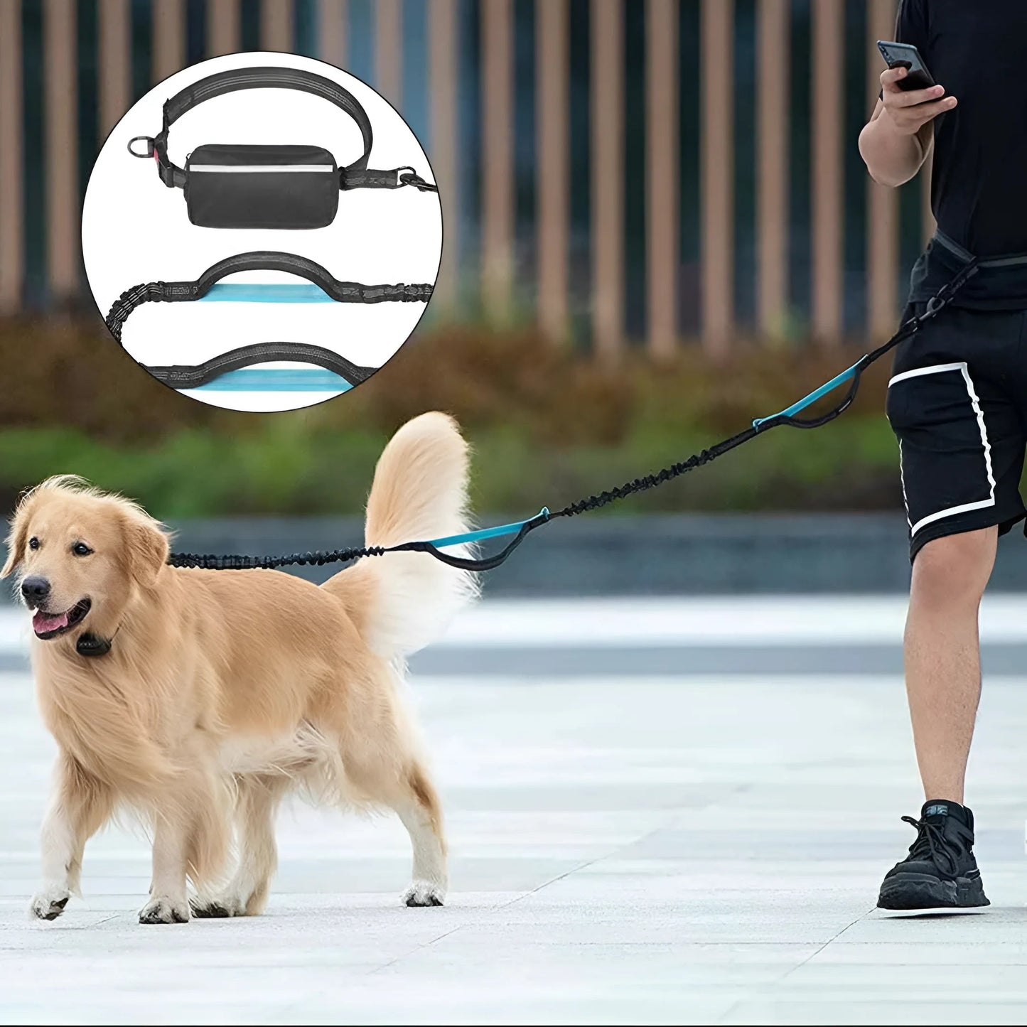 Hands-Free Dog Walking Leash