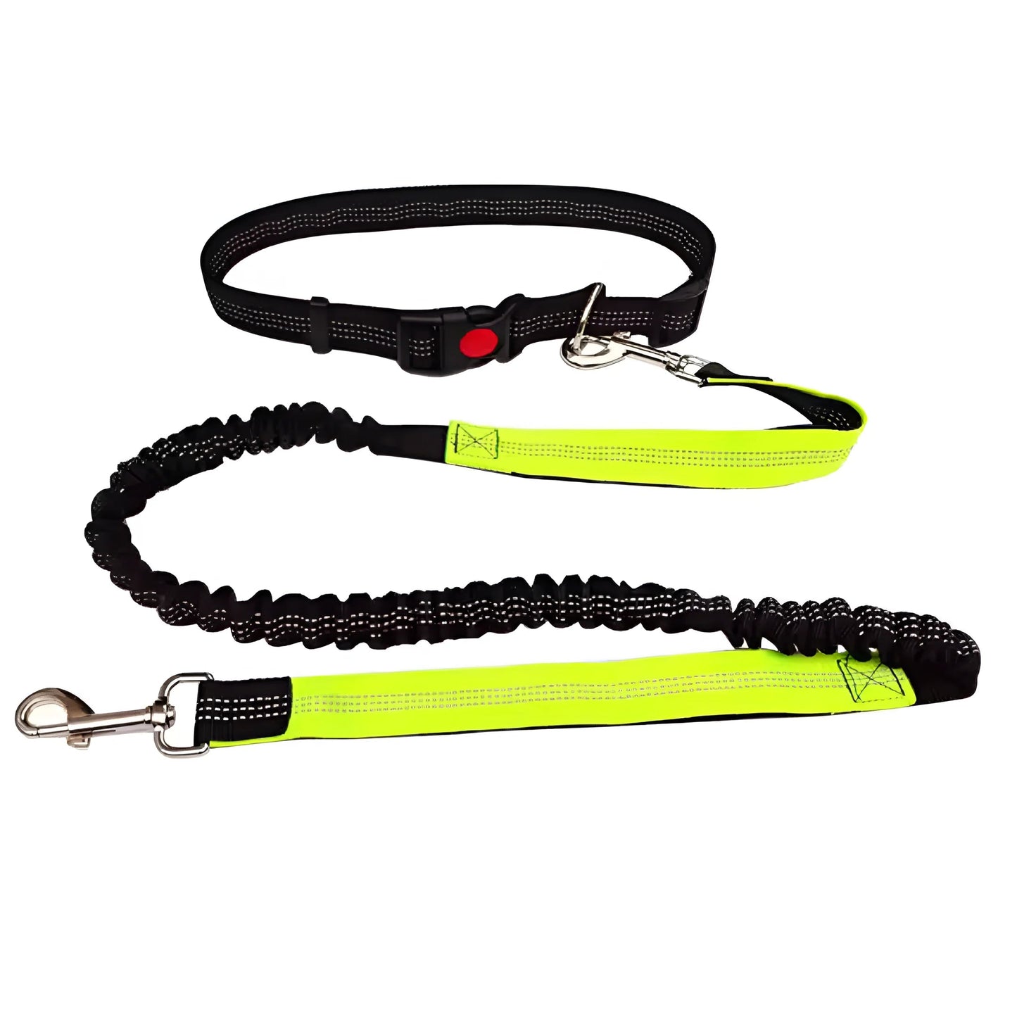 Hands-Free Dog Walking Leash