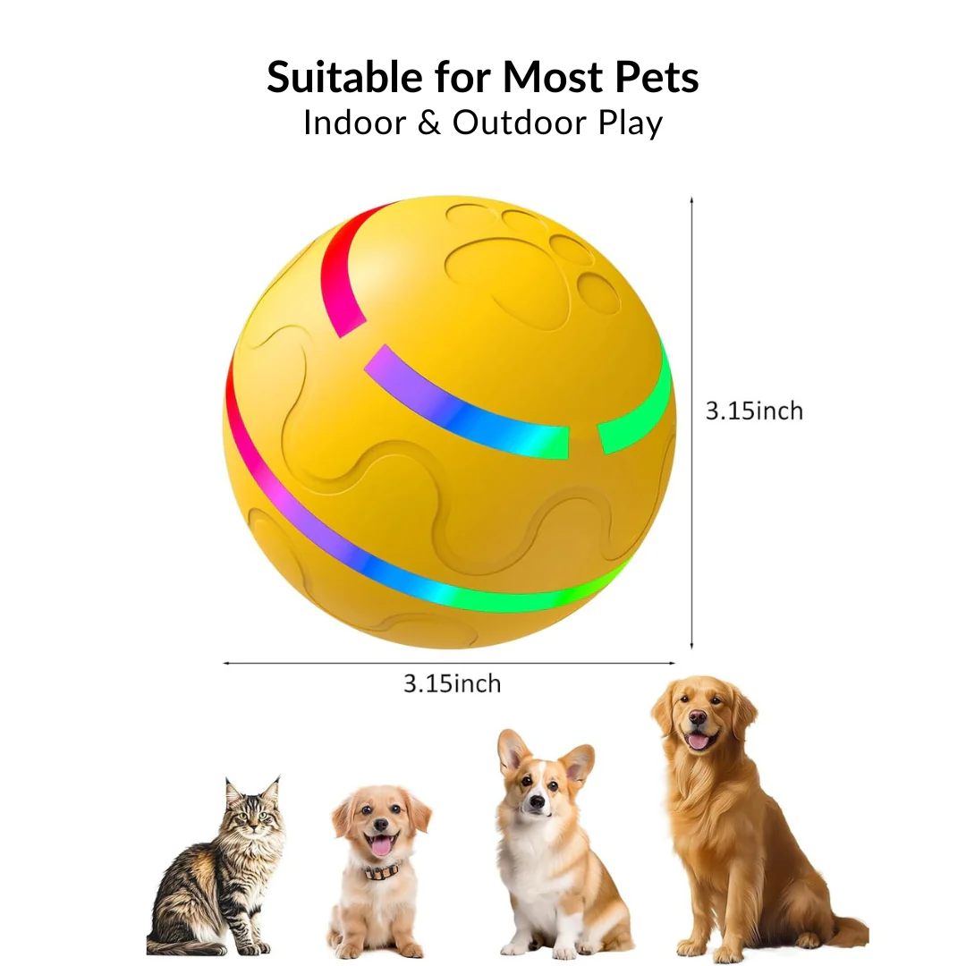 Active Ball With Remote Control