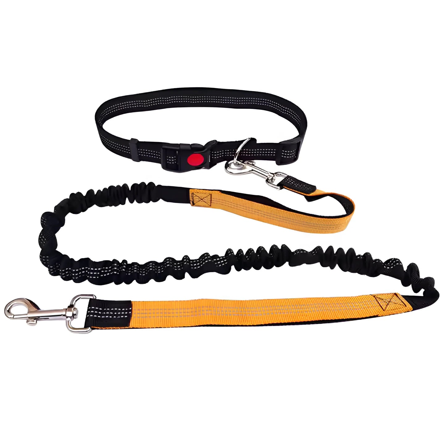 Hands-Free Dog Walking Leash