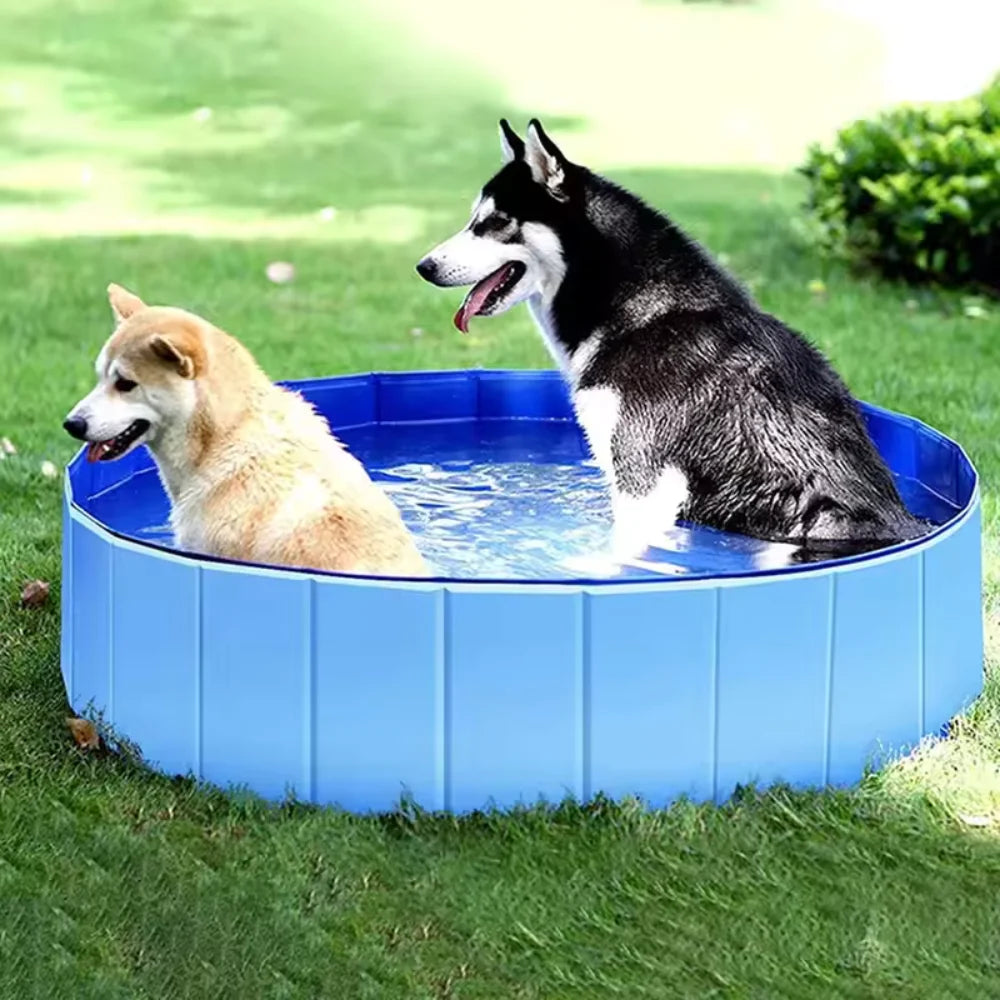 AquaPaws – Foldable Dog Pool