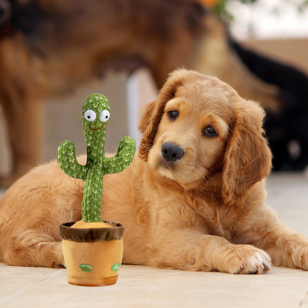 BarkinCactus