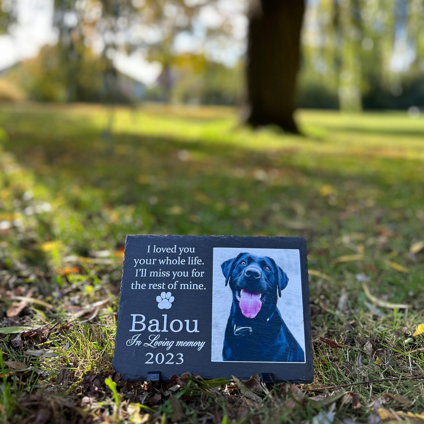 Personalized Pet Memorial Stone