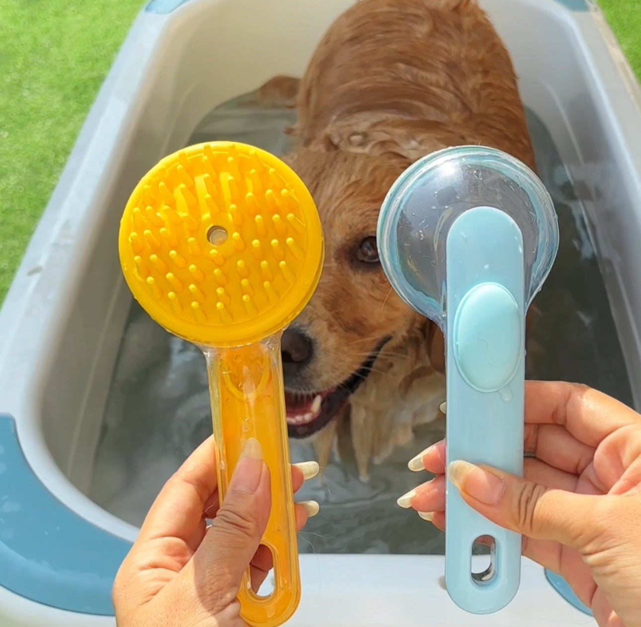 PetBrush - 2-in-1 Dog & Cat Shower & Brush