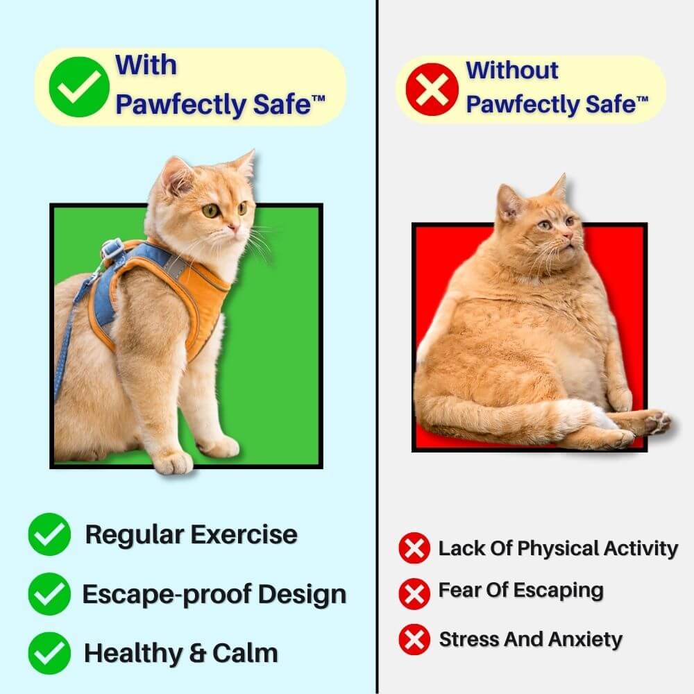 PurrSuit Adventure Kit - Cat Harness And Leash Set