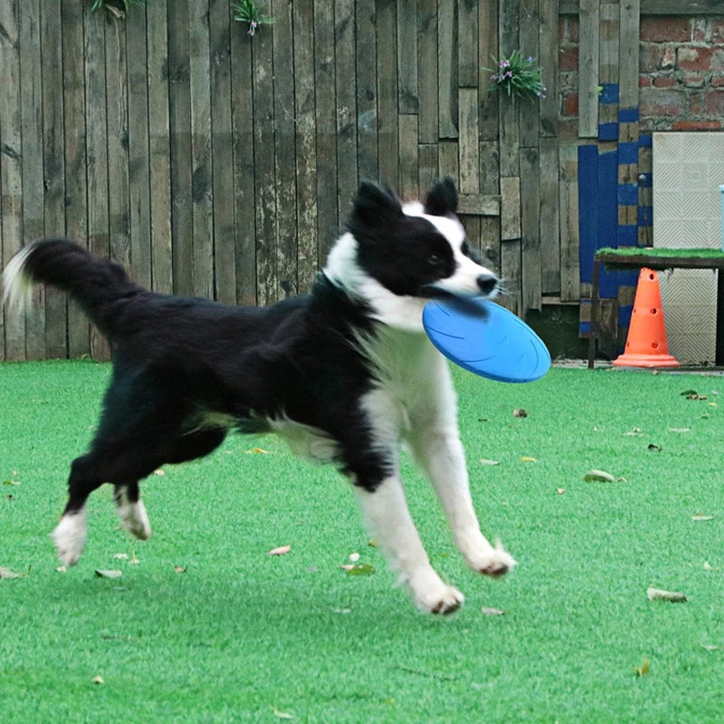 ToughFly – Durable Dog Frisbee