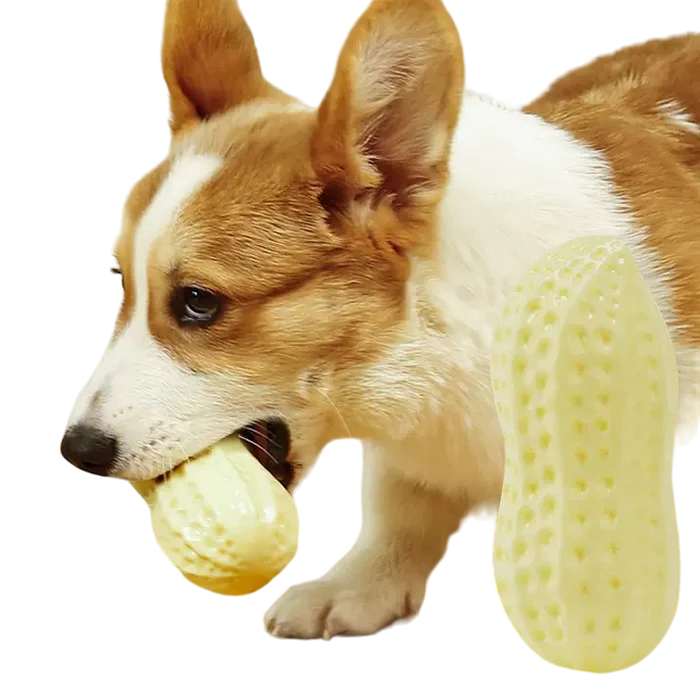 Sturdy Peanut Toy for Dogs
