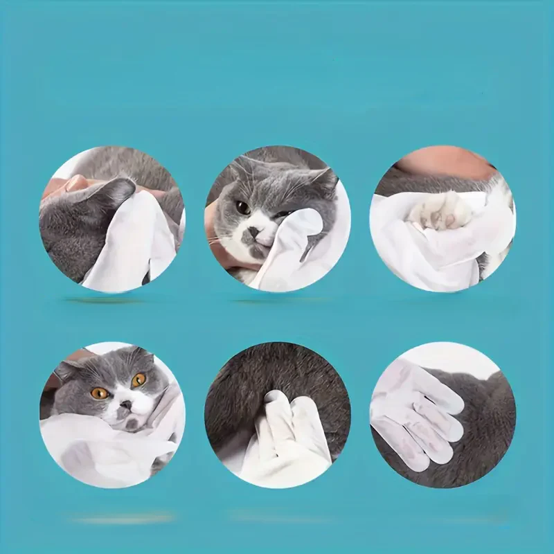 Grooming Gloves for Dogs & Cats