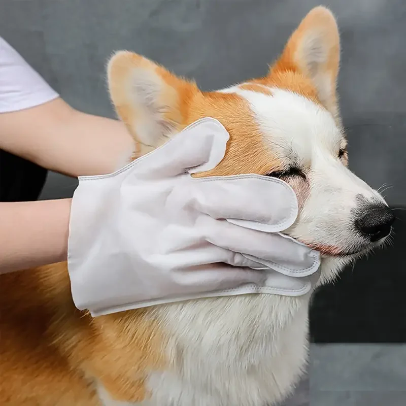Grooming Gloves for Dogs & Cats