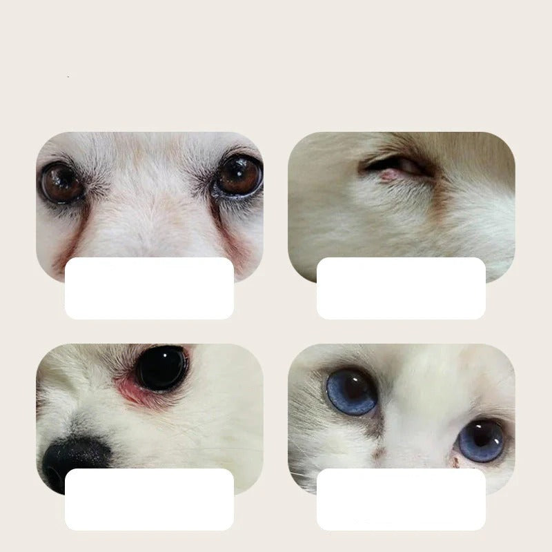 Gentle Care Wipes for Clear Animal Eyes