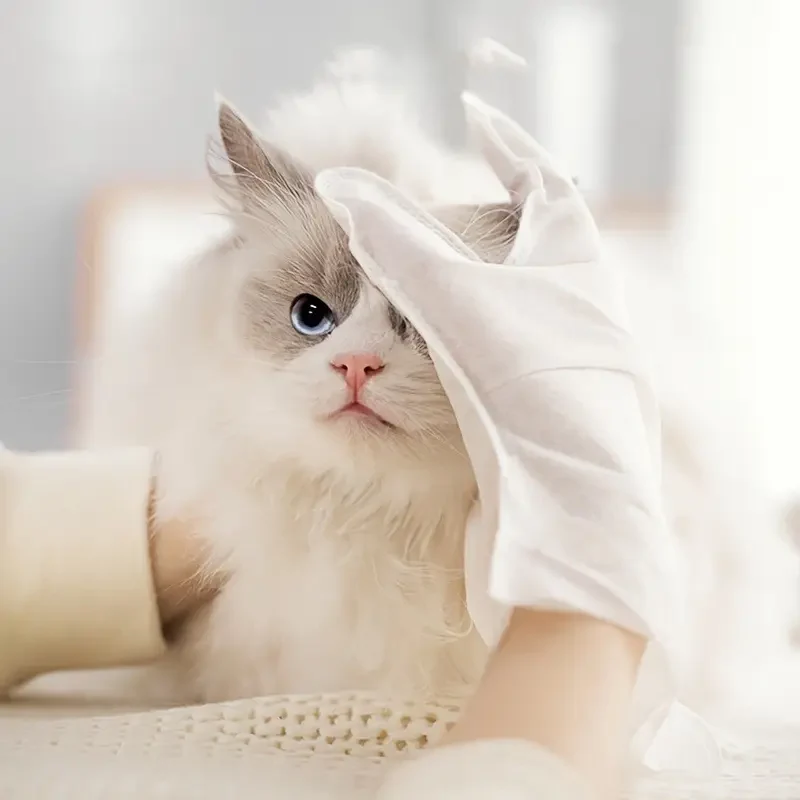 Grooming Gloves for Dogs & Cats