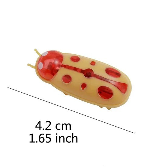 Self-Driving Beetle Cat Toy