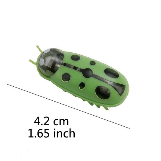 Self-Driving Beetle Cat Toy