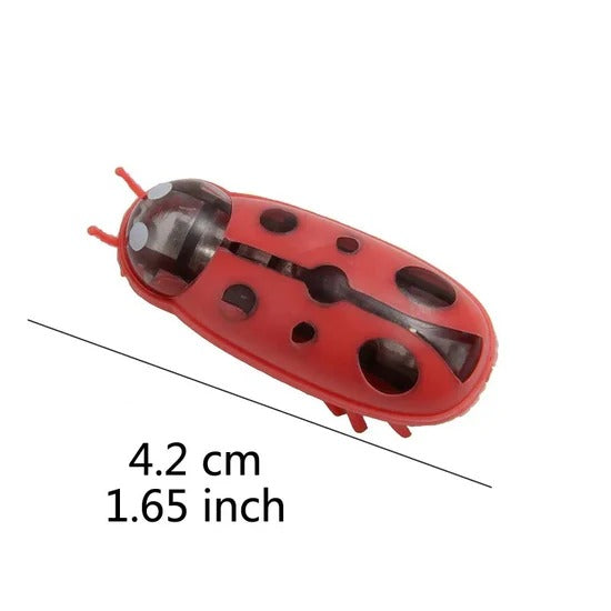 Self-Driving Beetle Cat Toy