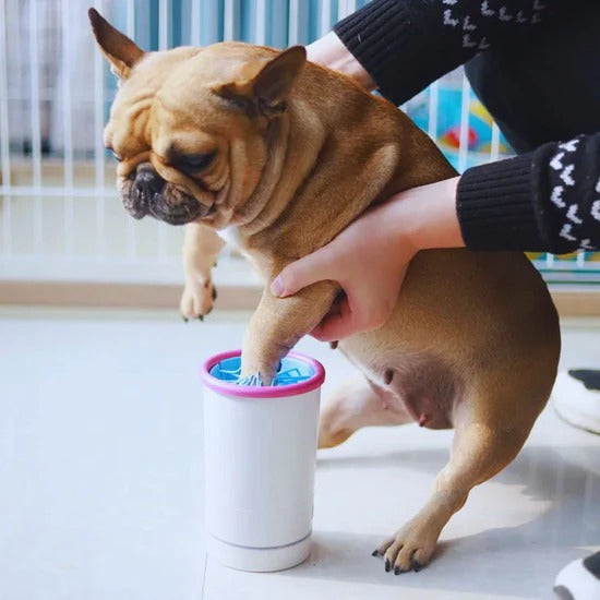 Electric USB paw cleaner