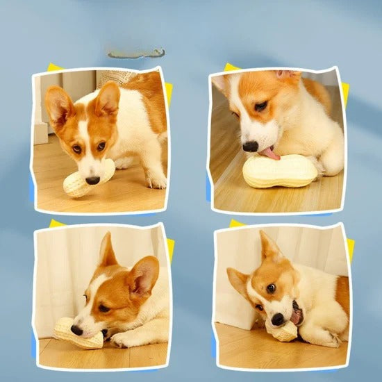 Sturdy Peanut Toy for Dogs