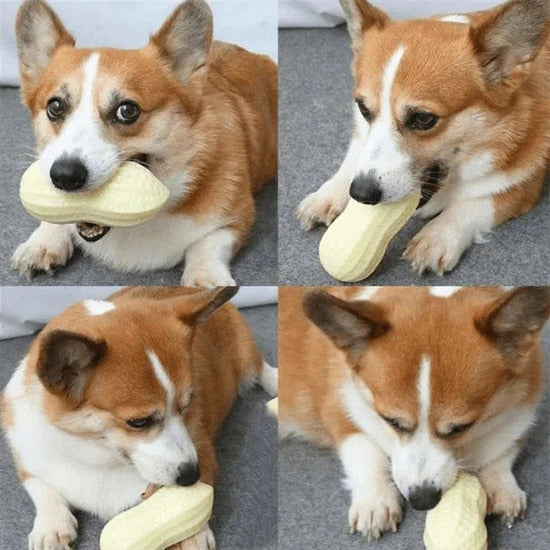 Sturdy Peanut Toy for Dogs