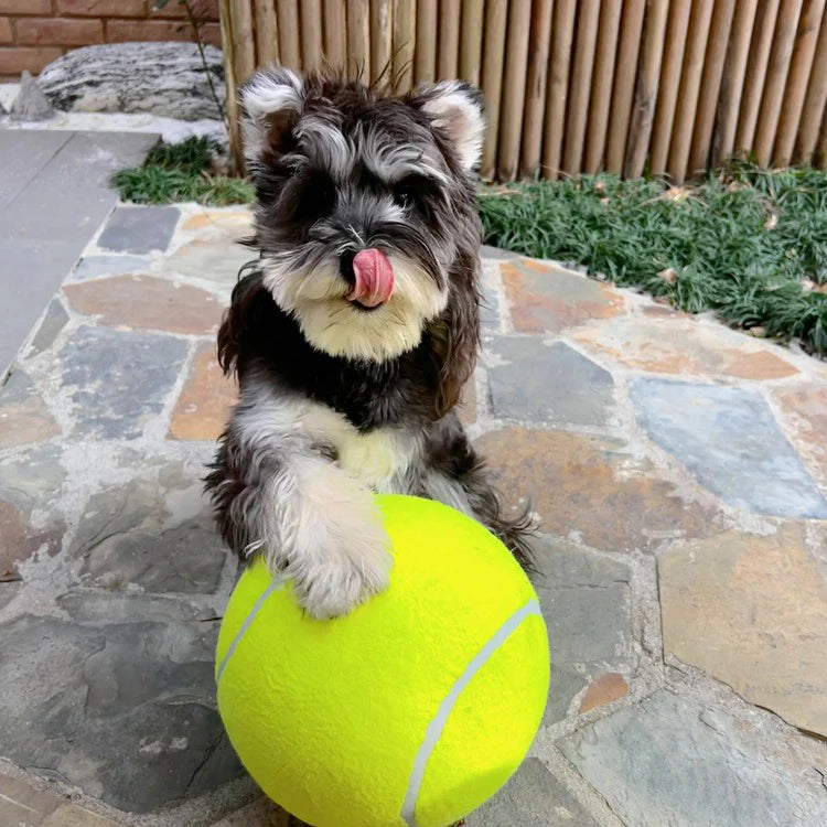 PawPro - Giant Tennis Ball