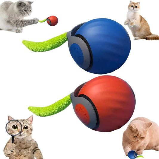 HuntBall - Rolling Cat Toy with Feather