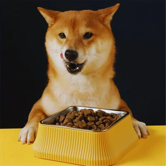 Food Bowl With Non-Slip Base