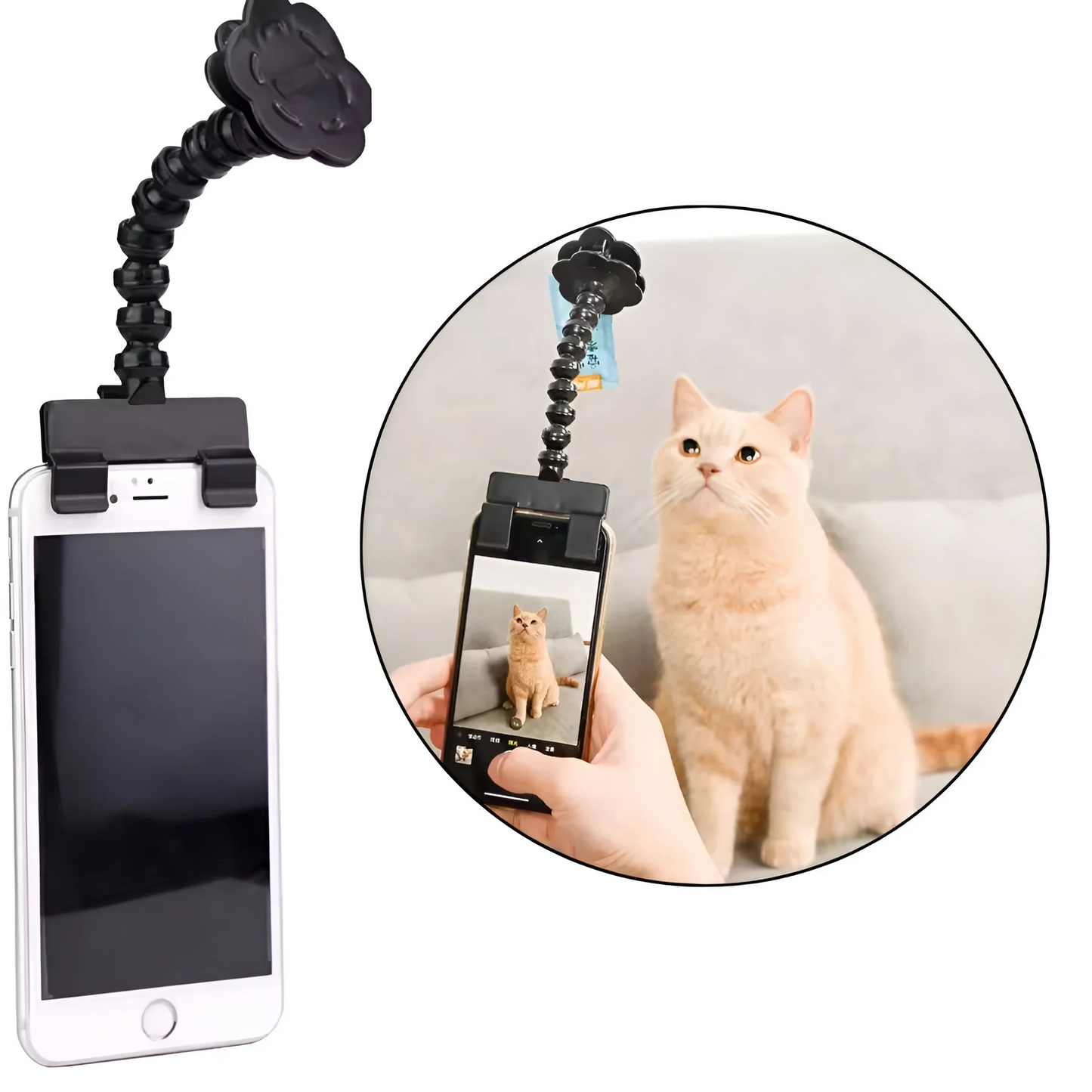 PawSnap - Perfect Pet Selfies