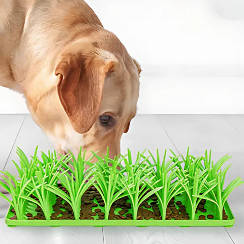 SniffSneek - Engaging Gras Mat For Cats & Dogs