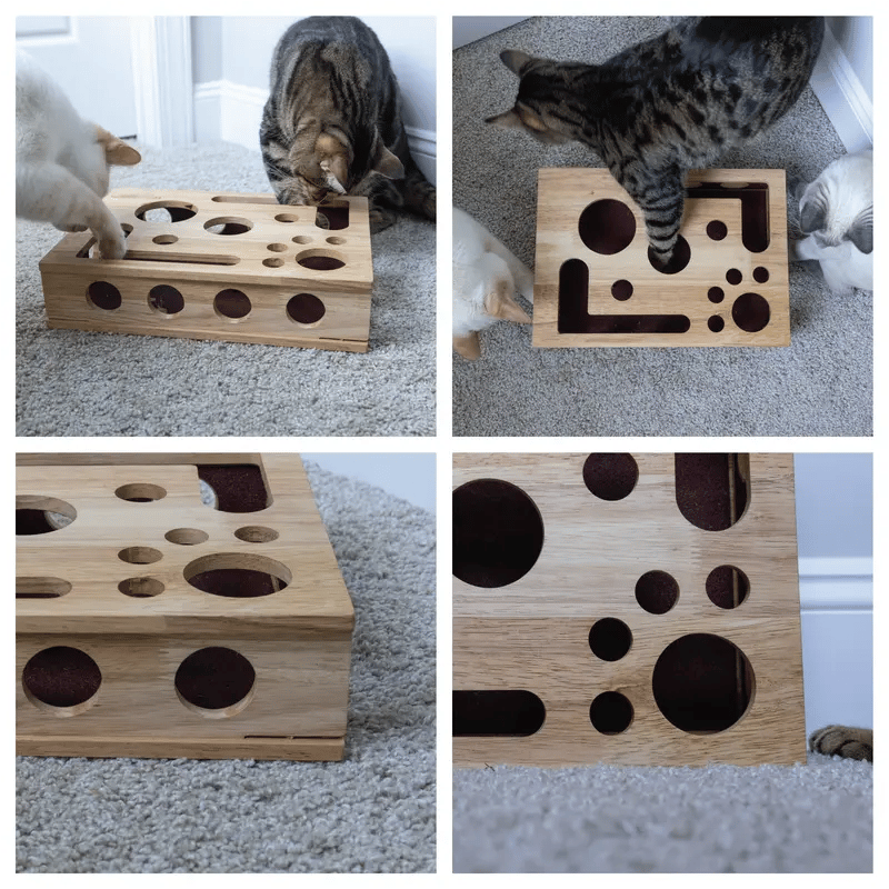 Purr-Puzzle Scratch Box