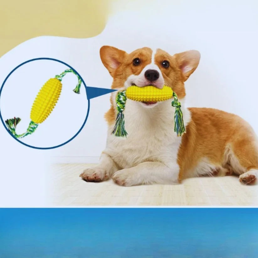 Corn Bite - Dental Care Corn Cob Toy