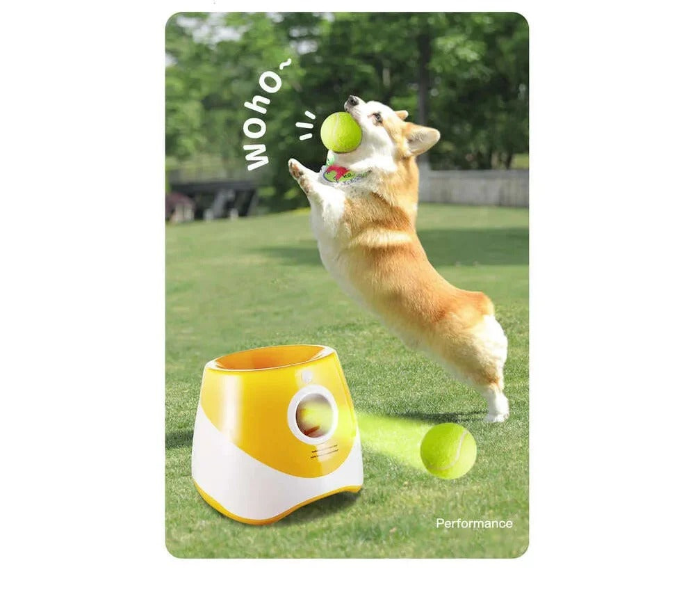 Automatic dog ball throwing machine