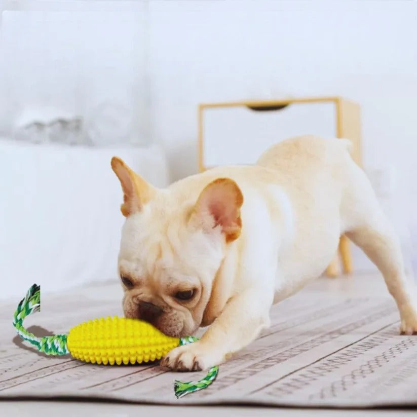 Corn Bite - Dental Care Corn Cob Toy