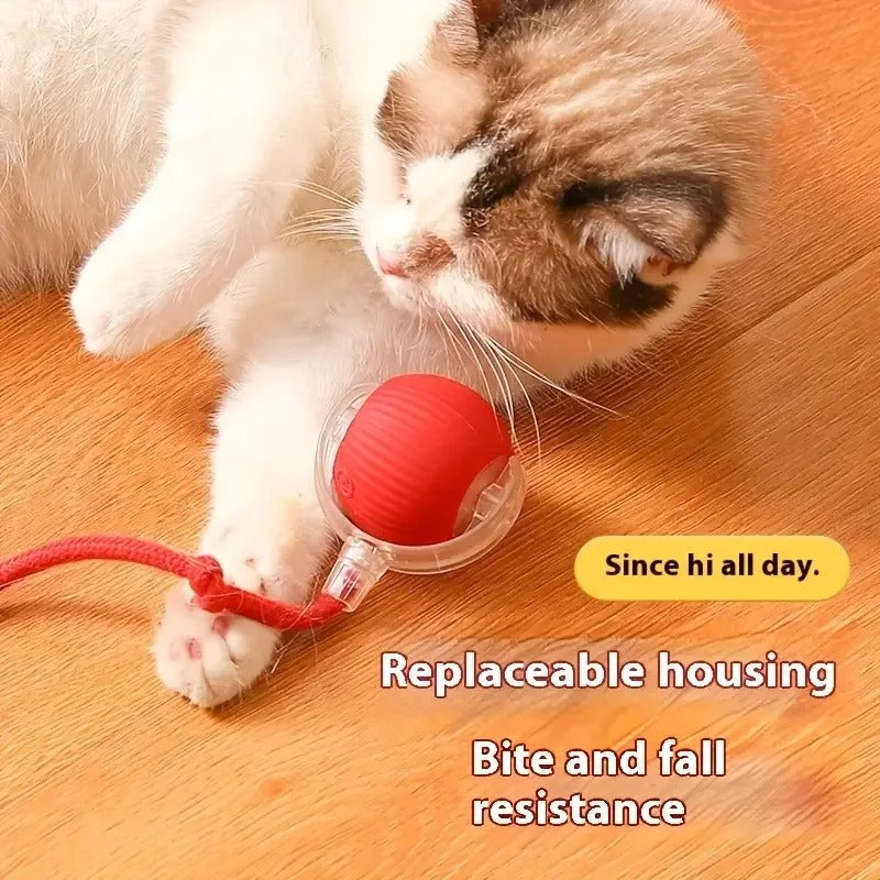 Interactive Cat Toy With Tail