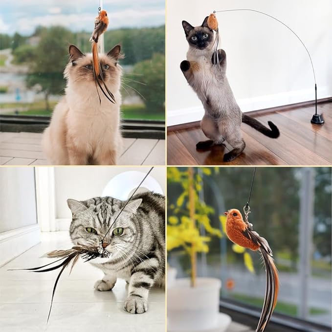 Cat Feather Wand Toy