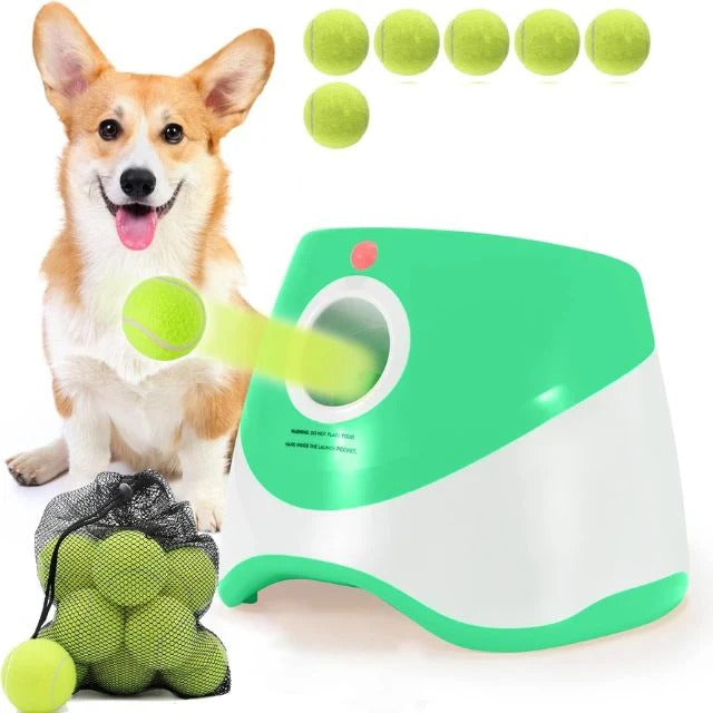 Automatic dog ball throwing machine
