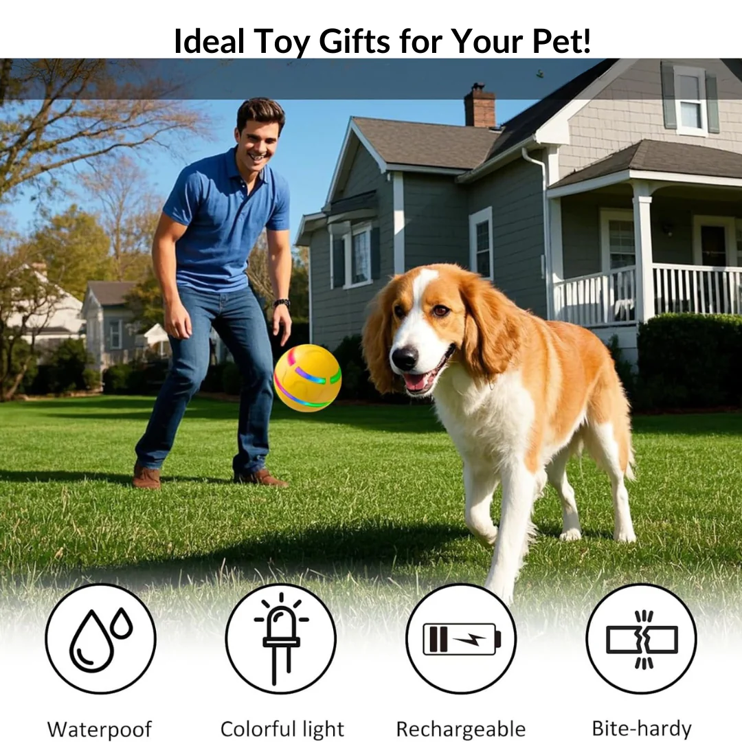 Active Ball With Remote Control