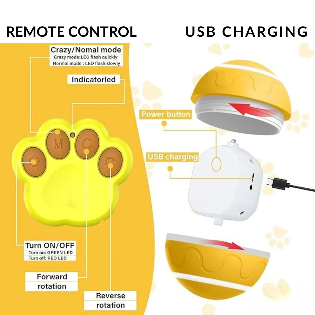 Active Ball With Remote Control