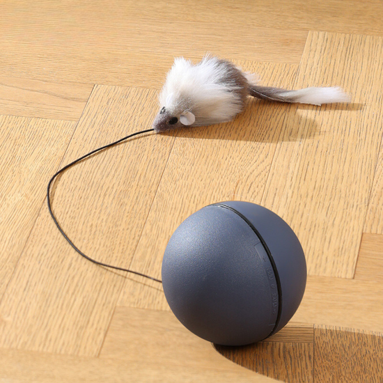 TurboTail – Rolling Chase Toy for Cats