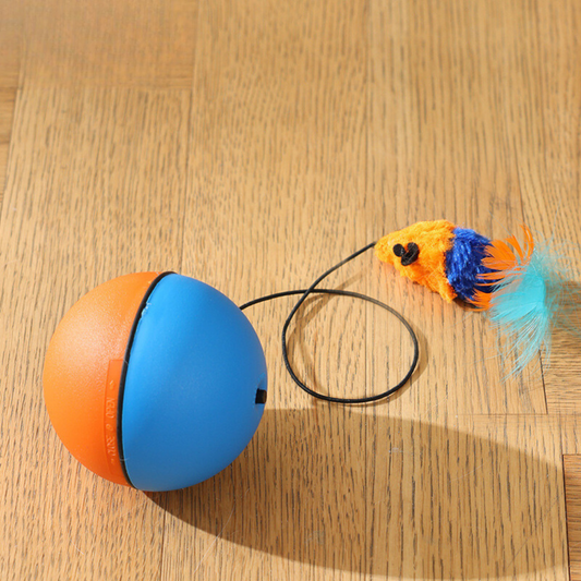 TurboTail – Rolling Chase Toy for Cats