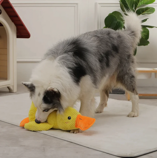 Anti-Stress Quark Duck For Dogs