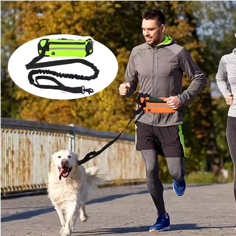 FreePaws - Active Dog Leash