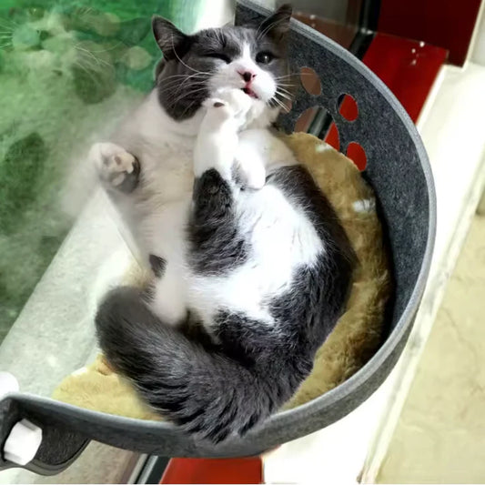 WindowNest - Cat Window Perch