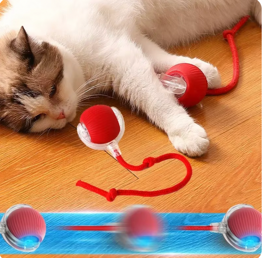 Racing Roller Ball - AI Mentioned Play & Fun Ball