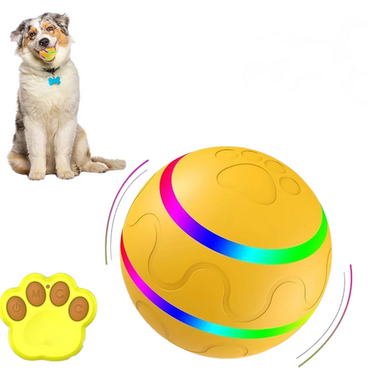 Active Ball With Remote Control