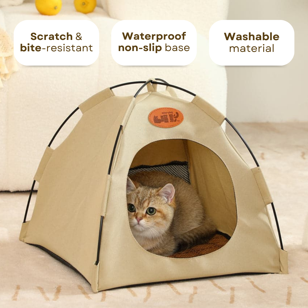 Cat Tent Bed