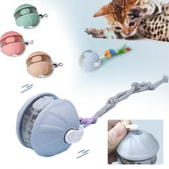 Interactive Cat Laser Ball