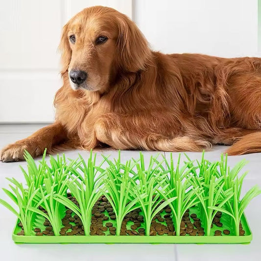 Dog Treat Meadow