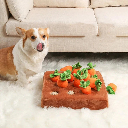 Interactive Carrot Sniffing Mat