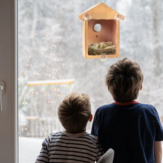 WindowNest – Transparent Bird Feeder