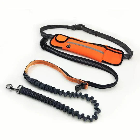 FreePaws - Active Dog Leash